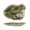Hello Honey® Green 11.75" Garden Frog Stoneware Plate